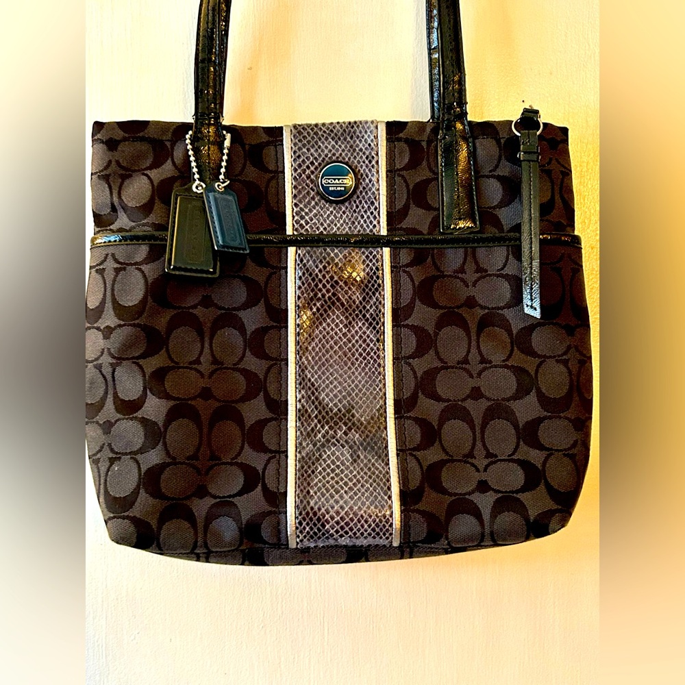 COACH Signature Python Stripe Tote Shoulder Canvas Handbag